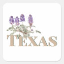 Search for lupine flower stickers Texas