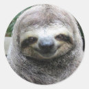 Search for endangered creatures Cute