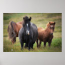 Search for mare art Stallion