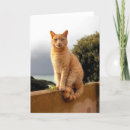 Search for cat family christmas cards Pets