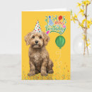 Search for cockapoo birthday cards Dogs