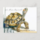 Search for sea turtle art postcards Cute