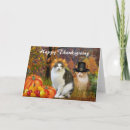 Search for thanksgiving note cards Fall
