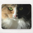 Search for eye mousepads Pet