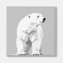 Search for polar magnets Nature