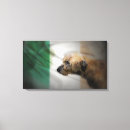 Search for wolfhound posters Ireland