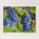 Search for vineyard puzzles Grape vines
