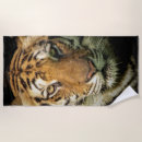 Search for tigers beach towels Wild