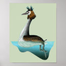 Search for kiwi bird posters New zealand
