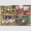 Search for farmhouse decoupage paper Chicken