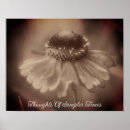 Search for sepia flowers posters Floral