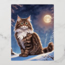 Search for himalayan cat postcards Kitty