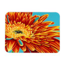 Search for burst magnets Flowers