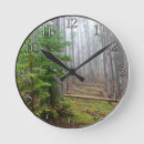 Search for pine clocks Forest