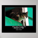 Search for housecat Cats