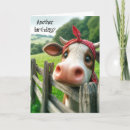Search for heifer cards Farm
