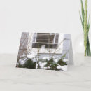 Search for black and white cat christmas cards Kitten