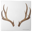 Search for deer antlers tiles Hunting
