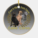 Search for cane corso christmas tree decorations Mastiff