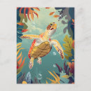 Search for ocean postcards Tortoise