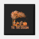 Search for tis magnets Autumn