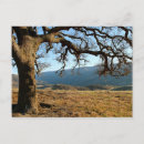 Search for regional postcards California