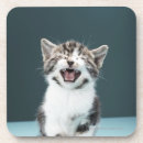 Search for communication coasters Animal