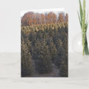 Search for carolina christmas cards Tree