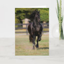 Search for friesian cards Animal