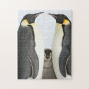 Search for penguin puzzles Cute
