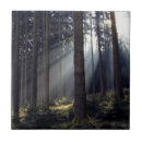 Search for bavaria tiles Forest