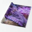 Search for sea creature wrapping paper Coral reef