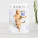 Search for tabby cats cards Humour