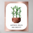 Search for longevity posters Good fortune
