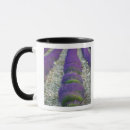 Search for provence lavender mugs Landscape