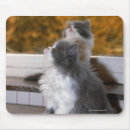 Search for innocent mousepads Innocence