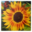 Search for summer sunflower tiles Sunshine