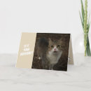Search for kitties cards Cat