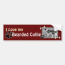 Search for collie dog bumper stickers Pup