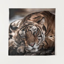 Search for angry tiger posters Portrait