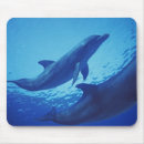 Search for cozumel mousepads Bradley ireland