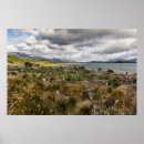 Search for wild birds posters Photography