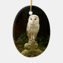 Search for barn owl christmas tree decorations Bird of prey