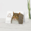Search for surprise birthday cards Animal