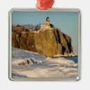 Search for environment christmas tree decorations Winter