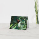 Search for postman cards Butterfly