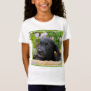 Search for labrador retriever tshirts Puppy