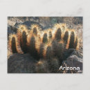 Search for habitat postcards Desert