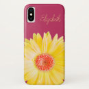 Search for gerbera daisy cases Photography