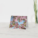 Search for cherry blossom tree cards Bloom